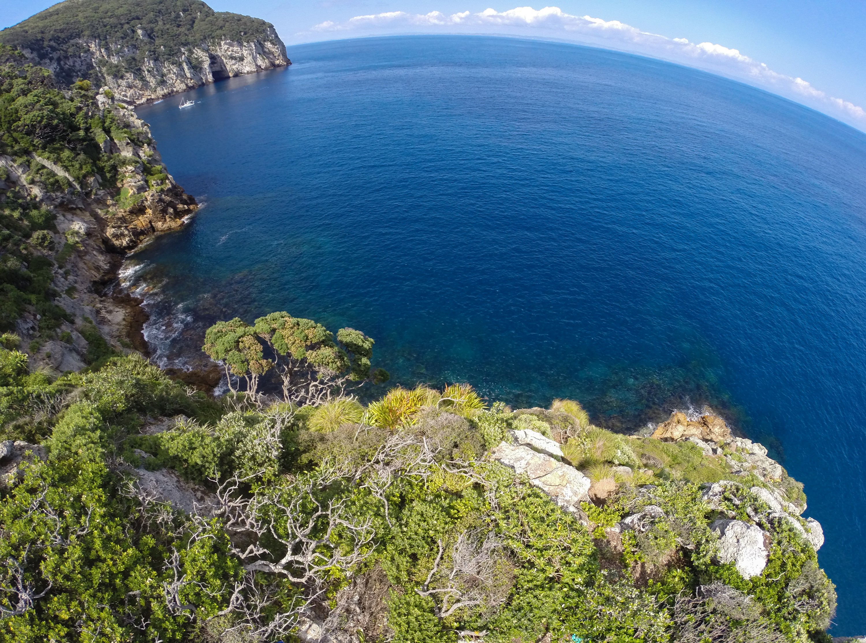 G0012820 – Crispin, aerial, doc, drone, in the sky, knights, marine, new, nz, poor, reserve, zealand